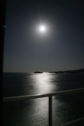 月夜の海 ときめきピチピチ便り