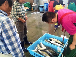 魚市場 (13).JPG