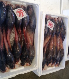 魚市場 (5).JPG