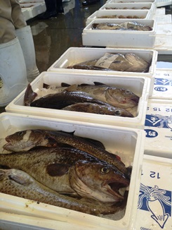魚市場 (8).JPG
