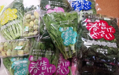 20140303春告げ野菜.jpg