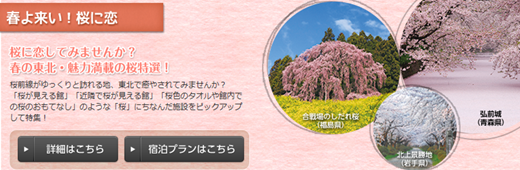 r0411桜plan.png