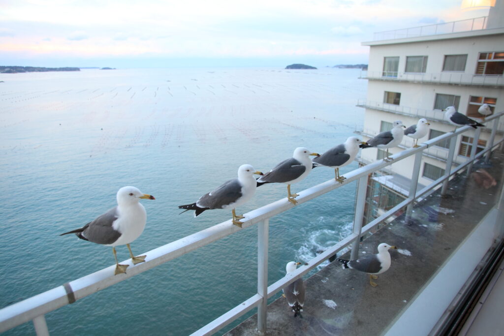 海の景色と共に貴重な体験を！