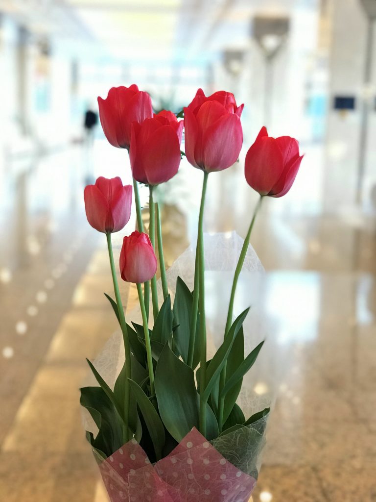 歓迎の花々