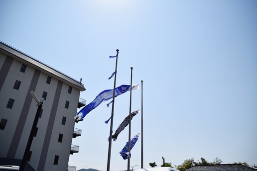 Koinobori, Rising Carp