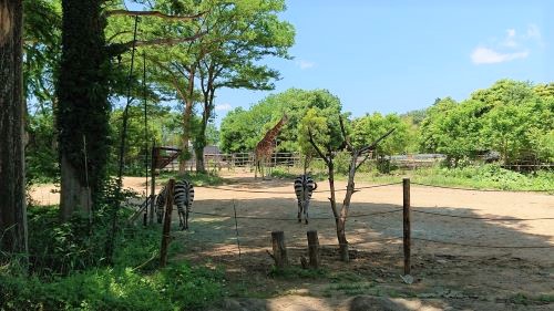 動物達に癒される～八木山動物園♪