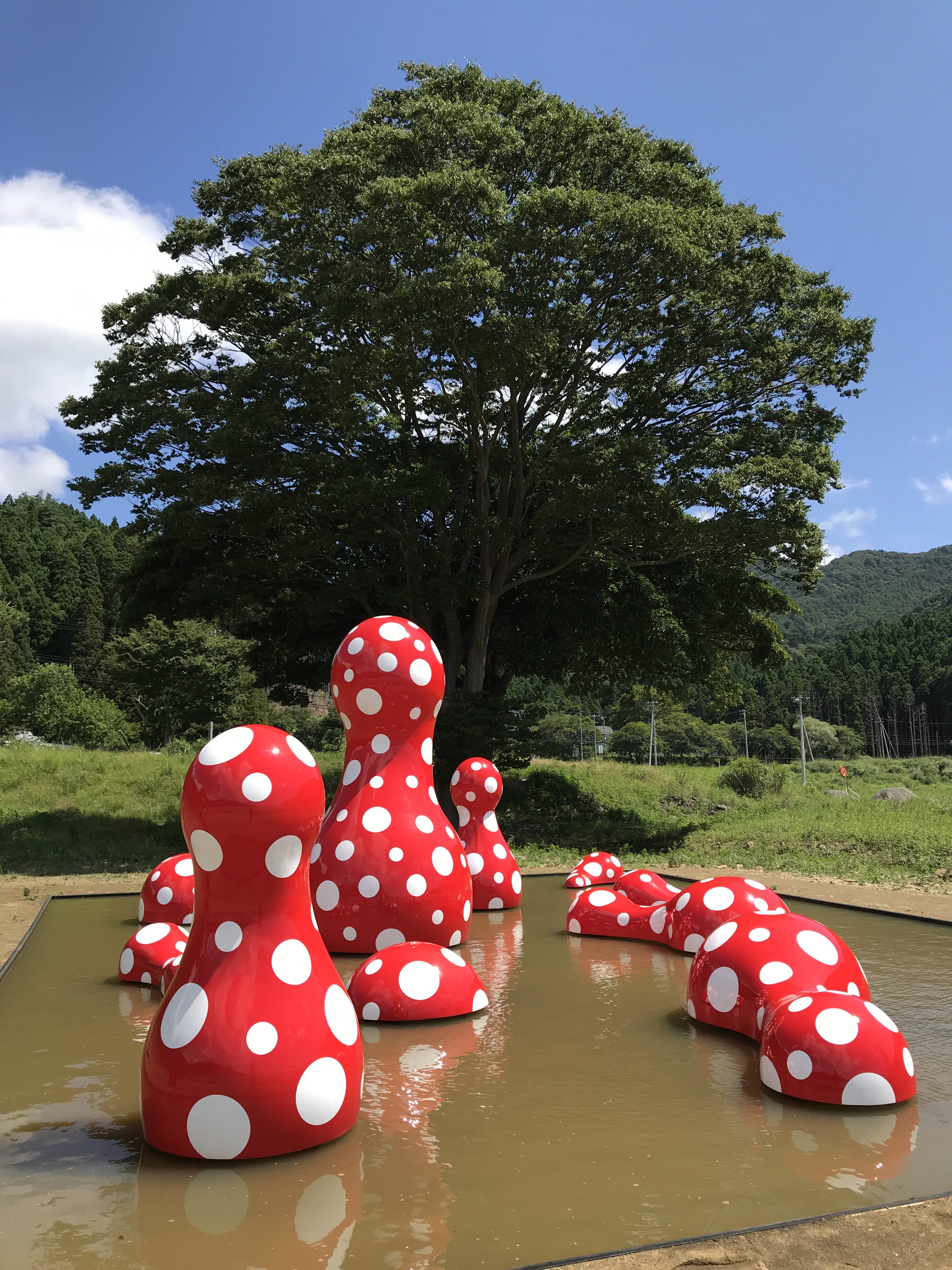 リボーンアートフェスティバル 2019 | 【公式】南三陸ホテル観洋