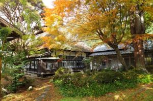 Autumn Colours in Miyagi