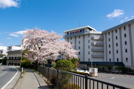 桜✿開花情報