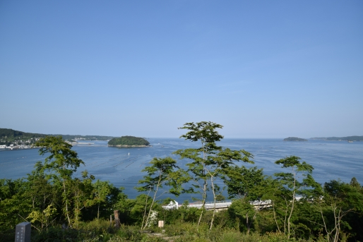 新緑の「海の見える命の森」