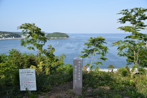 海の見える命の森での作業は順調です♪