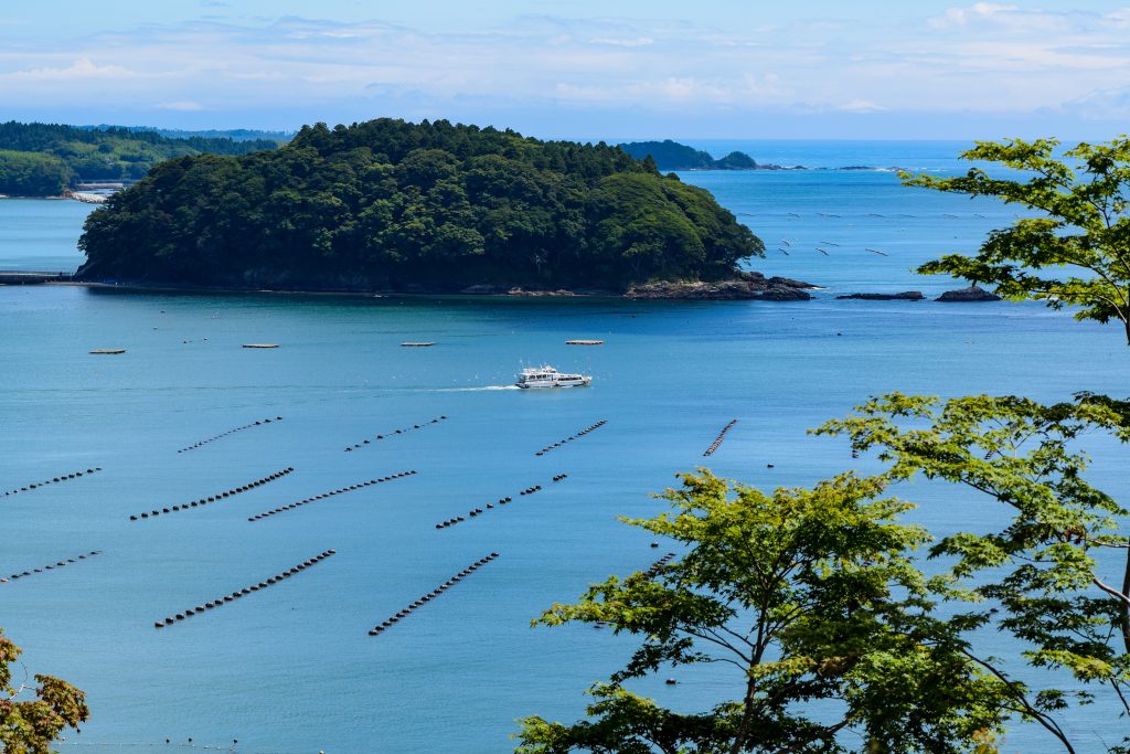 海の見える命の森で学びを！