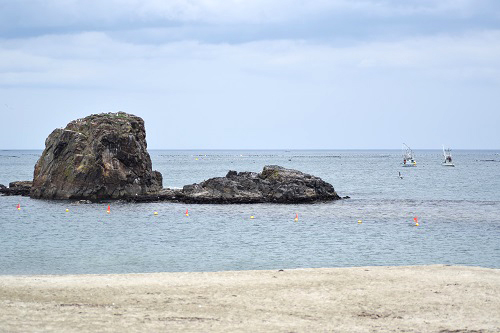 海水浴場「サンオーレそではま」今年は…開設中止となりました。