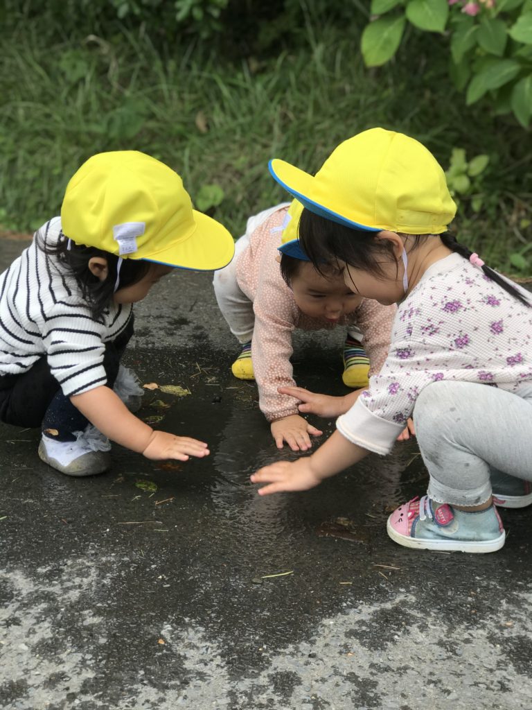 マリンパルだより　　９月その４