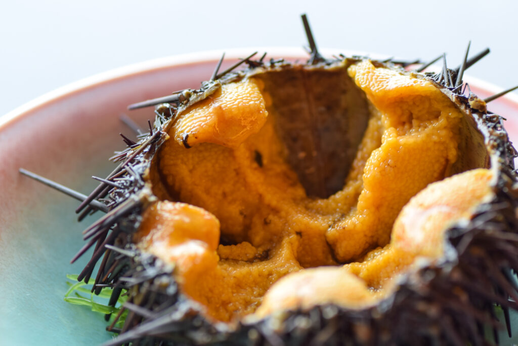 【ふわふわ食感の「鮑の踊り焼」と甘くとろける旬の味覚「生うに」を味わう海鮮御膳プラン】