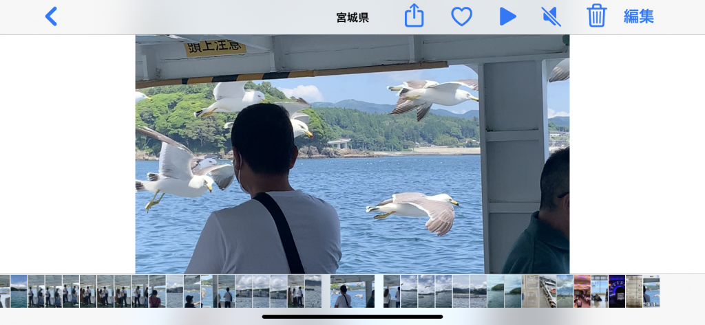 Shizugawa bay sightseeing boat