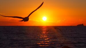 年末年始【年越し・お正月プラン】一年の締めくくりも、新しい年のはじまりも、海の絶景とともに。