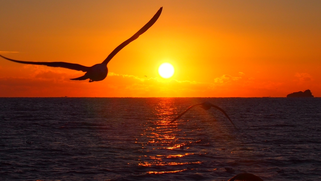 年末年始【年越し・お正月プラン】一年の締めくくりも、新しい年のはじまりも、海の絶景とともに。