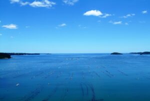 （公式サイト限定価格）日にち限定【お客様感謝デープラン】量をほどよく、価格はお得に。8,888円～