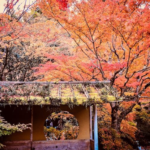 秋のおすすめ紅葉スポット！日本三景・松島の円通院。