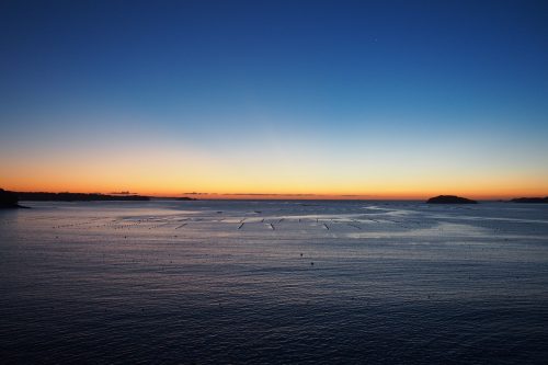 P9290007-e1638494167274.jpg