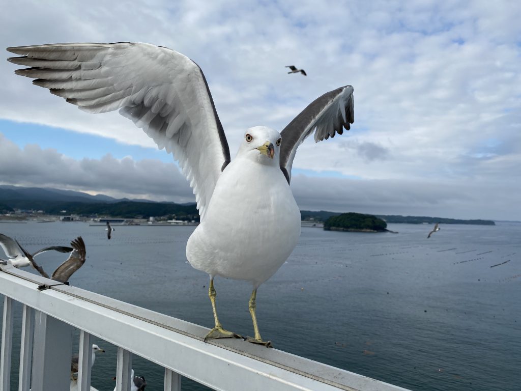 「海からのギフト」を見つけに！