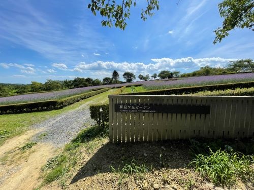 自然いっぱい「館ヶ森アーク牧場」～お花編～