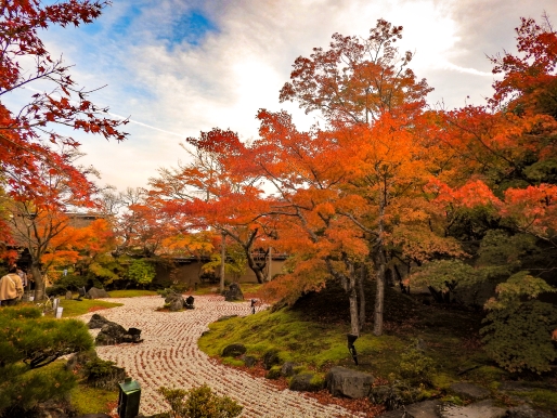 紅葉シーズンがやってくる！