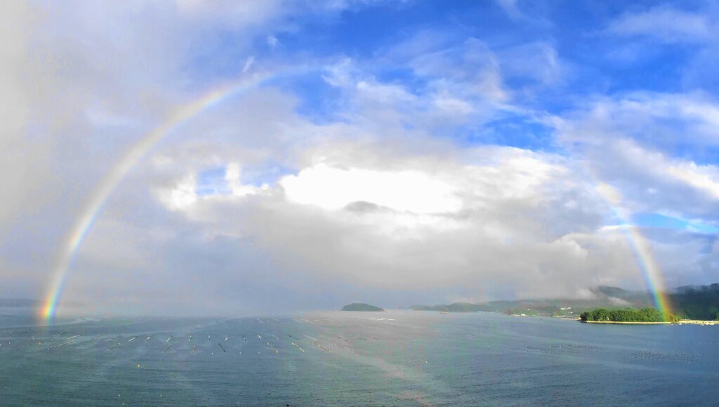 雨の弓