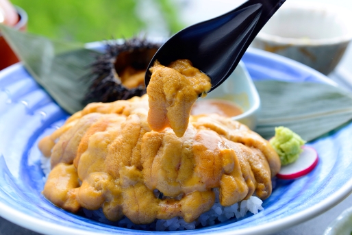 南三陸キラキラうに丼の季節がやってきた！