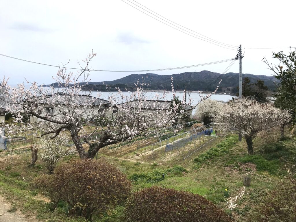 春を探して　長閑な里山