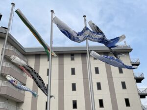 南三陸の空を舞う鯉のぼり！～in2025～