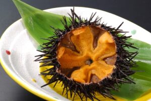 大人気！初夏の味覚「ウニ」のプラン登場！