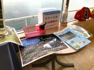 兄・弟 名前募集中♪
