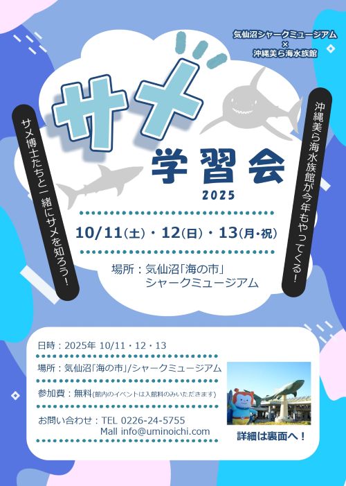 10/11～13は…気仙沼「海の市」でサメ学習会♪