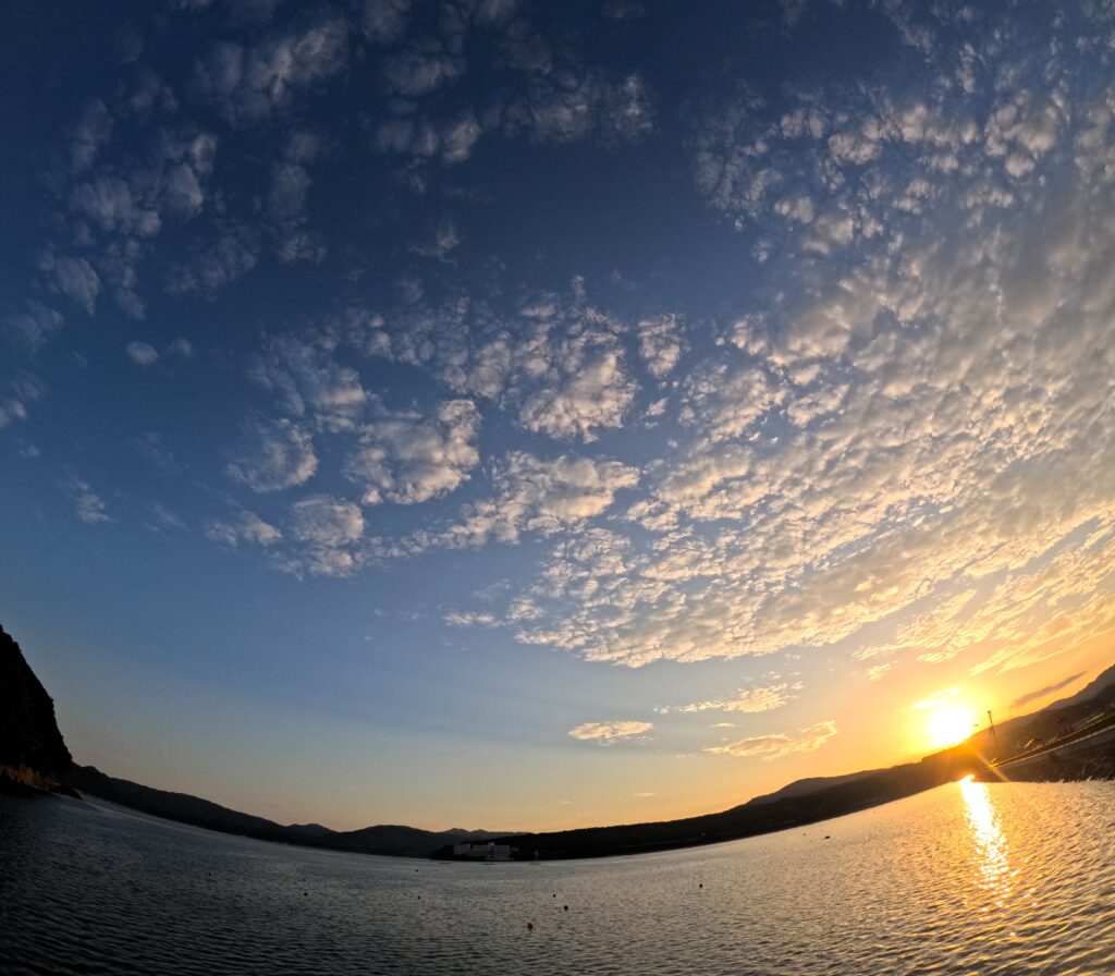 森は海の恋人
