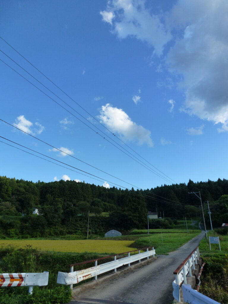 秋へ・・・まだ暑っ
