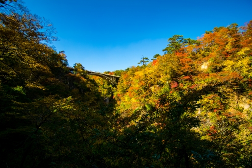 これから見頃を迎える周辺の紅葉スポットをご紹介