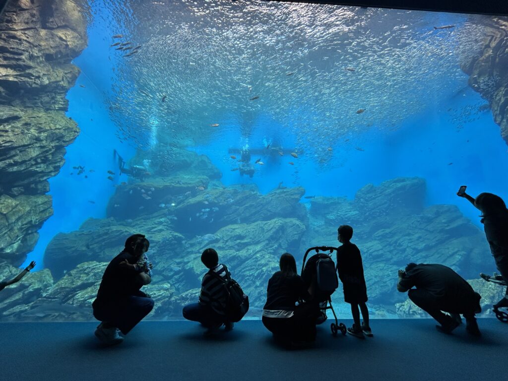 マリンパルだより１０月その３
