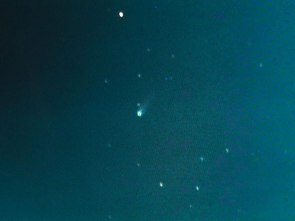見えた ! レモン彗星