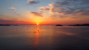 忘新年会プランの販売を開始しました!