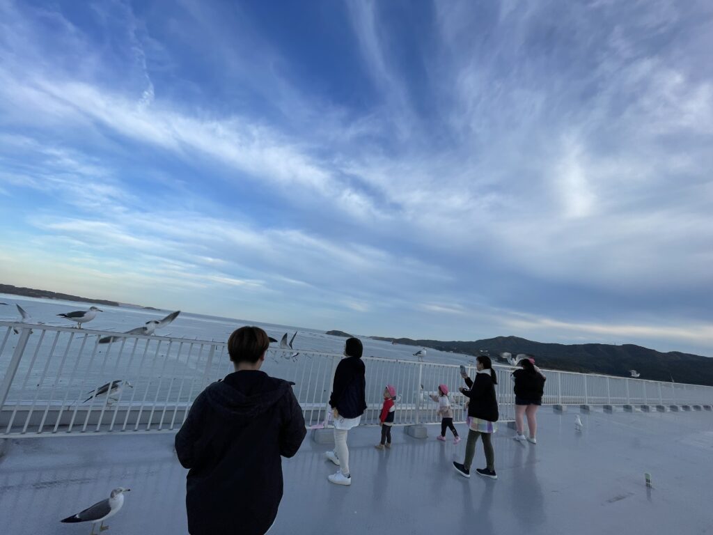 まりんぱるだより 11月その1