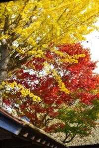 登米市にある「みやぎの明治村」と南三陸町内の「佐長商店」