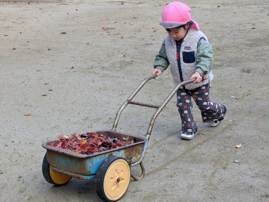 マリンパルだより　11月その４