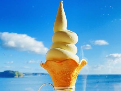 ティーラウンジに新メニュー「生乳ソフトクリーム」登場！