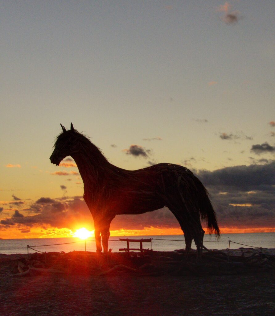 マリンパルだよ 1月その１