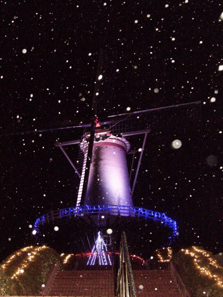 マリンパルだより　12月その１