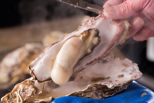 牡蠣が美味しい季節がやってきた!