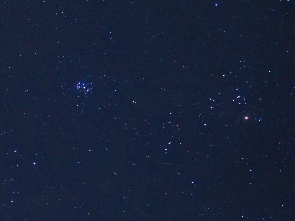 雪見?い~え 星見です