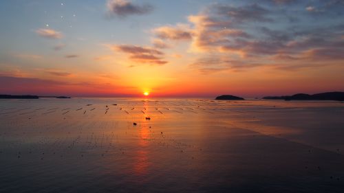 お日にち限定！サンライズ南三陸クルーズを今年も行います🌅